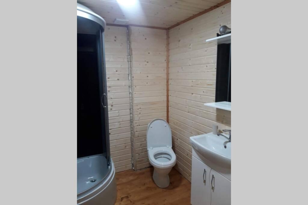 Студіо Номер 5 Садиба У Ані Synevyrsʼka Polyana Exterior foto