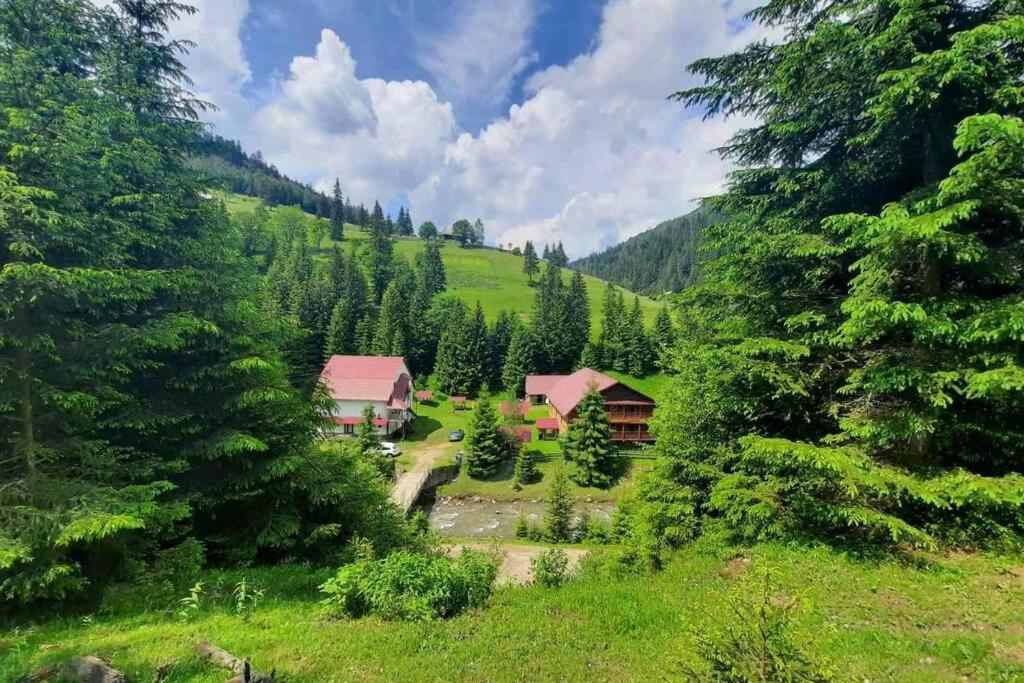 Студіо Номер 5 Садиба У Ані Synevyrsʼka Polyana Exterior foto